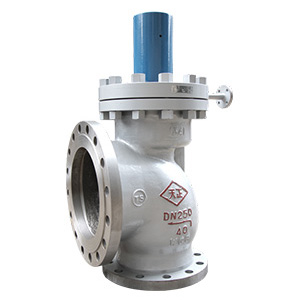 中國天正閥門有限公司