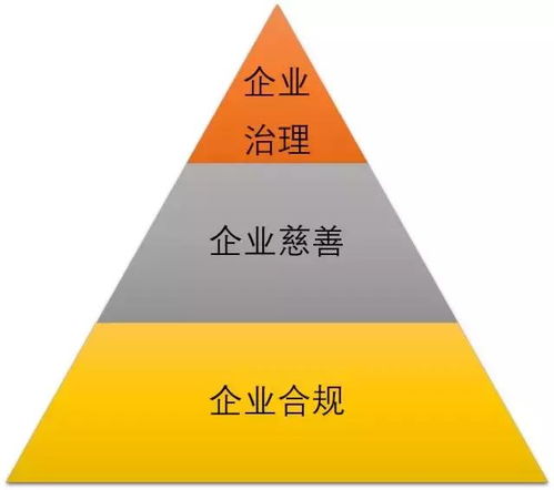 社會問題驅(qū)動商業(yè)創(chuàng)新 MSC咨詢創(chuàng)始人兼CEO譚亞幸的社會經(jīng)濟咨詢服務(wù)探索